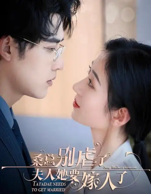 年代情感剧旧城灯火剧照